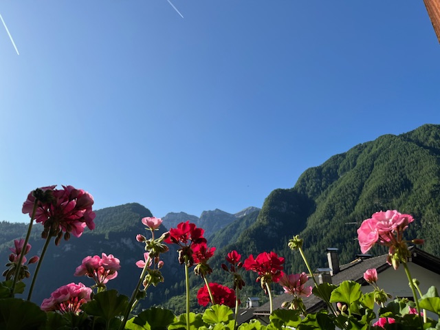 Appartamento vacanze in Valle Primiero